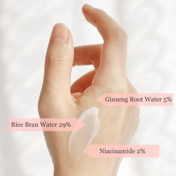 Beauty of Joseon | Dynasty cream